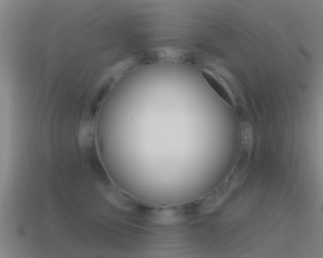 X0000115490419200911061006
