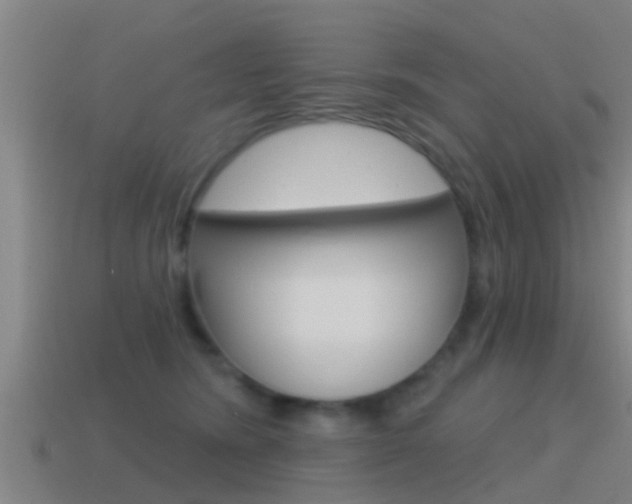 X0000115490420200911061006