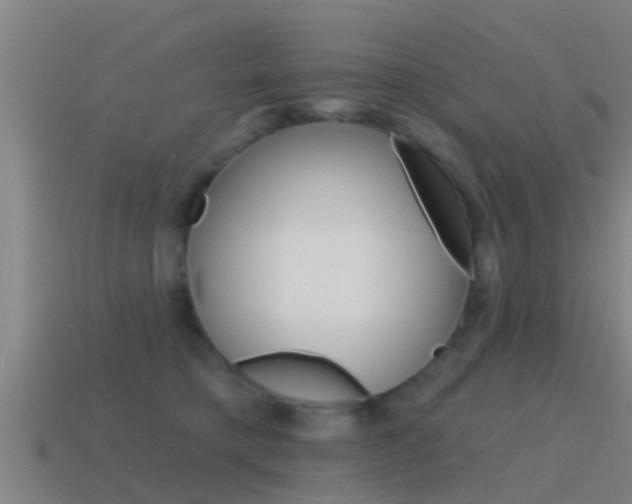 X0000115490421200911061006