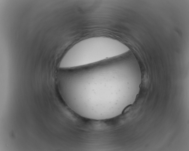 X0000115490424200911061006