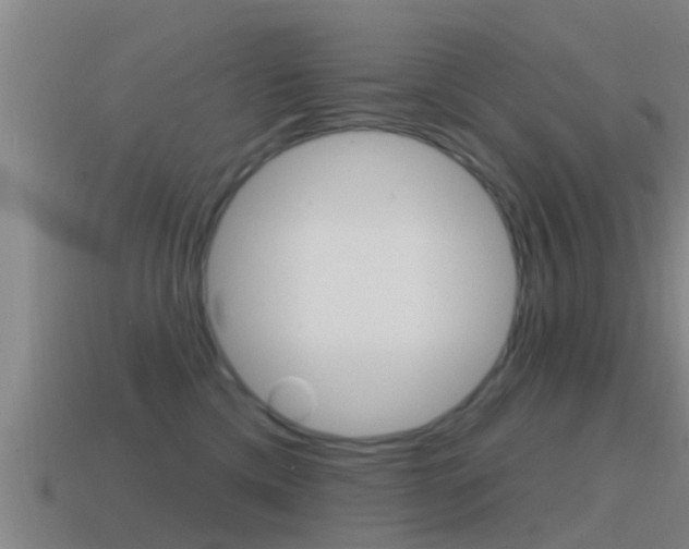 X0000115490425200911061006