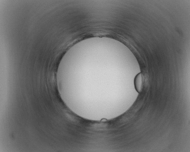 X0000115490426200911061006