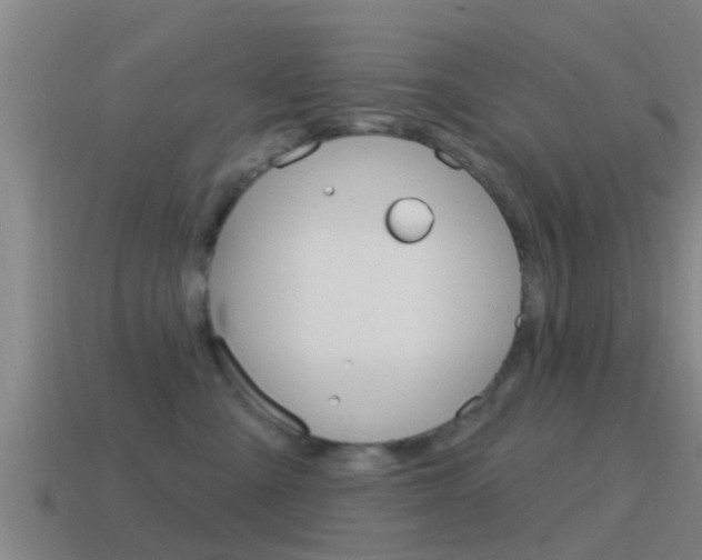 X0000115490427200911061006