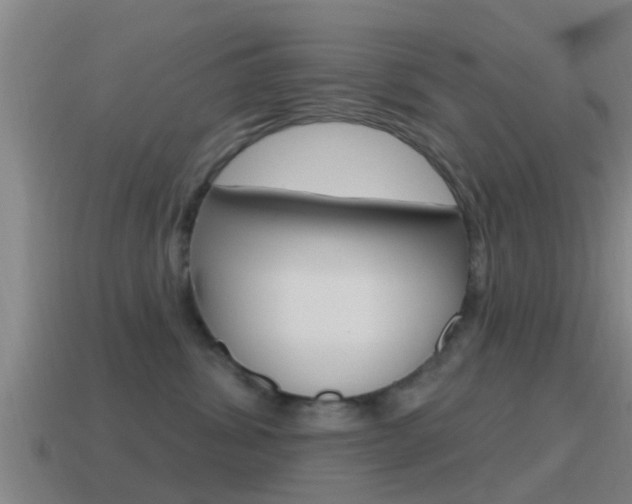X0000115490428200911061006