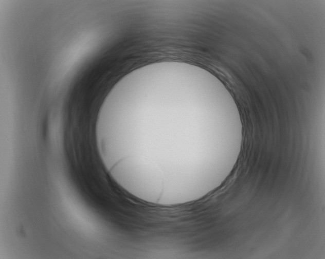 X0000115490429200911061006