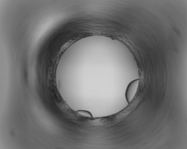 X0000115490430200911061006