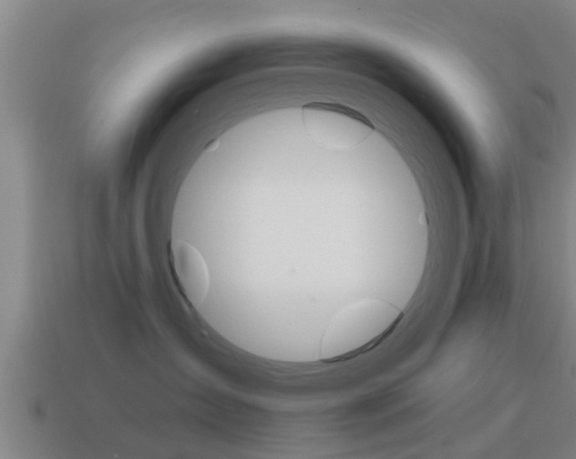 X0000115490431200911061006