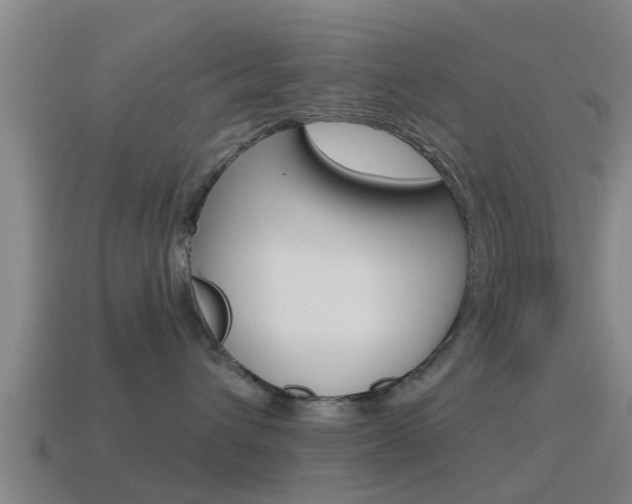 X0000115490432200911061006