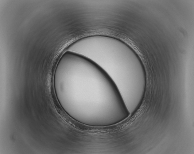 X0000115490434200911061005