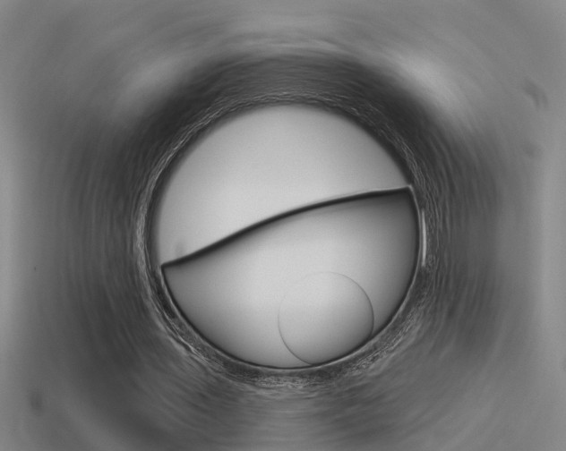 X0000115490435200911061005