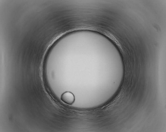 X0000115490436200911061005