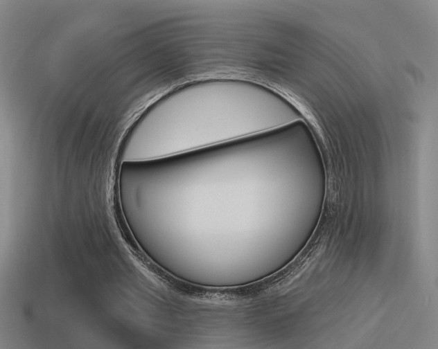 X0000115490437200911061005