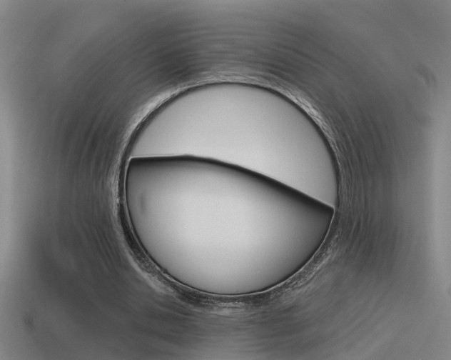 X0000115490438200911061005