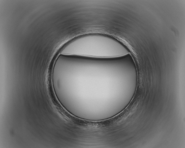 X0000115490439200911061005