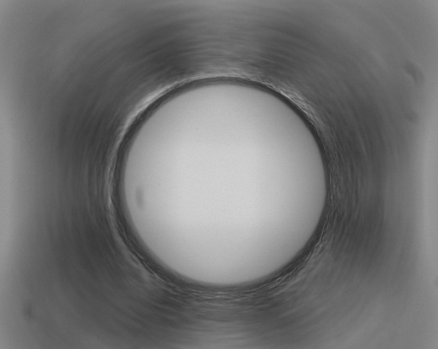 X0000115490440200911061005
