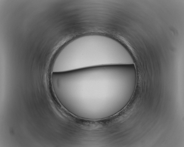 X0000115490443200911061005