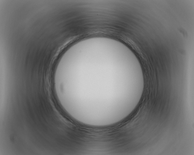 X0000115490444200911061005