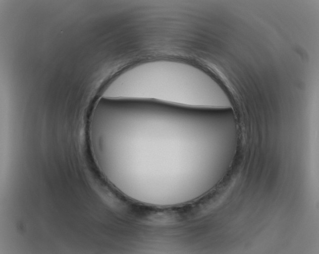 X0000115490447200911061005