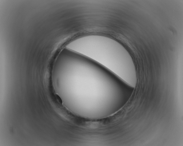 X0000115490448200911061005
