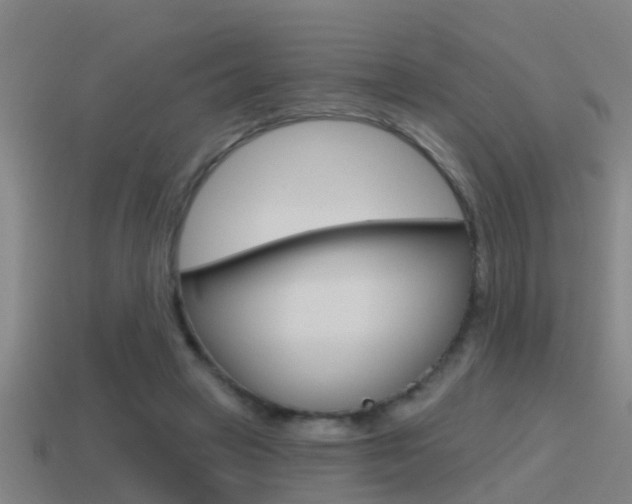 X0000115490449200911061005