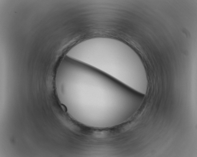 X0000115490450200911061005