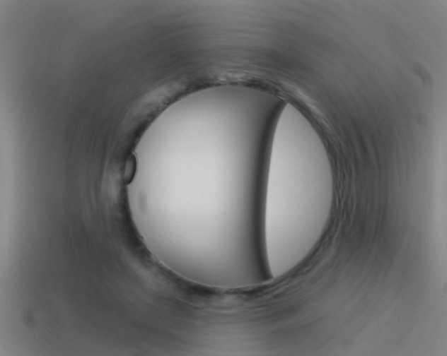 X0000115490451200911061005
