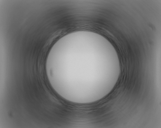 X0000115490452200911061005