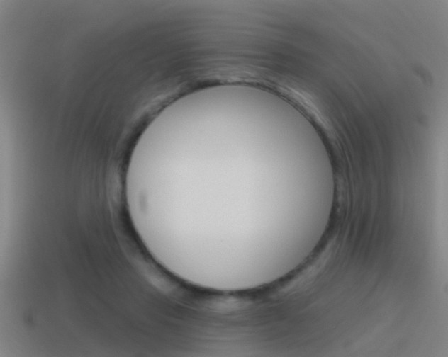 X0000115490453200911061005