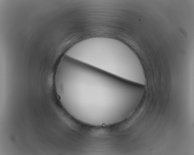 X0000115490454200911061005