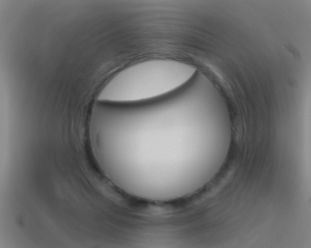 X0000115490455200911061005