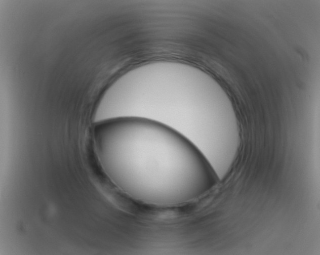 X0000115490456200911061005