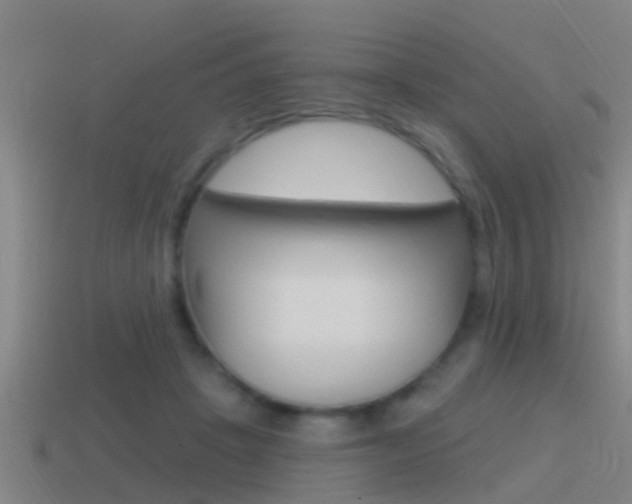 X0000115490457200911061005