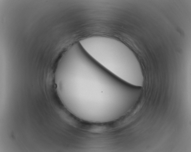 X0000115490458200911061005