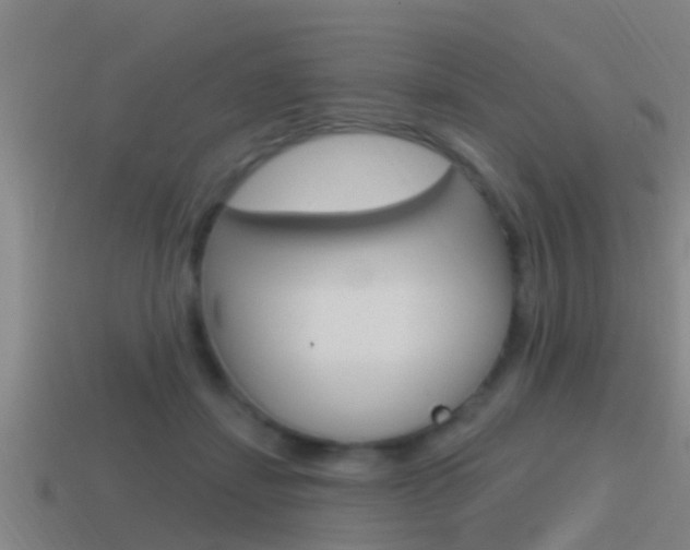 X0000115490459200911061005