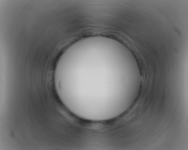 X0000115490462200911061005