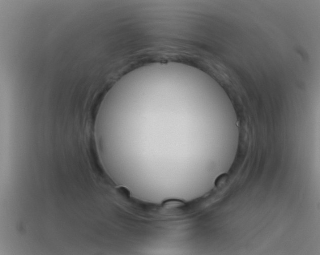 X0000115490463200911061005
