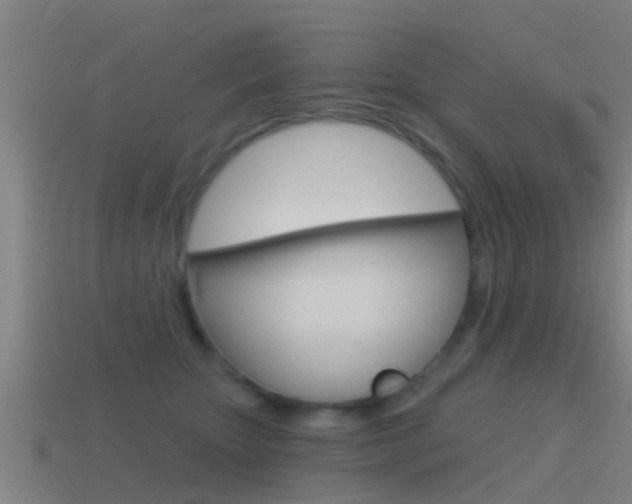 X0000115490467200911061005