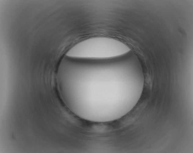 X0000115490470200911061006