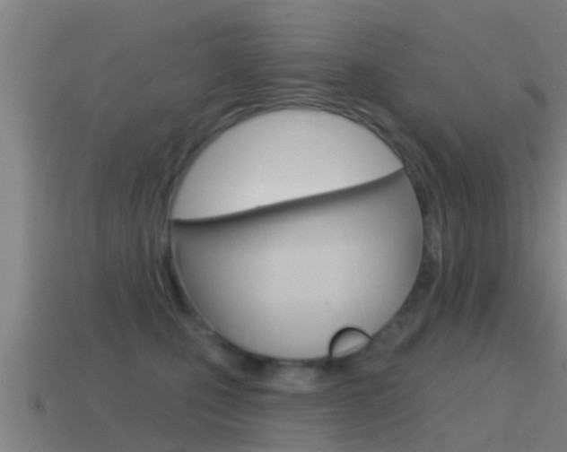 X0000115490471200911061006