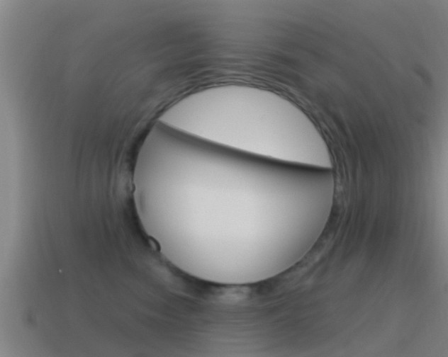 X0000115490474200911061006