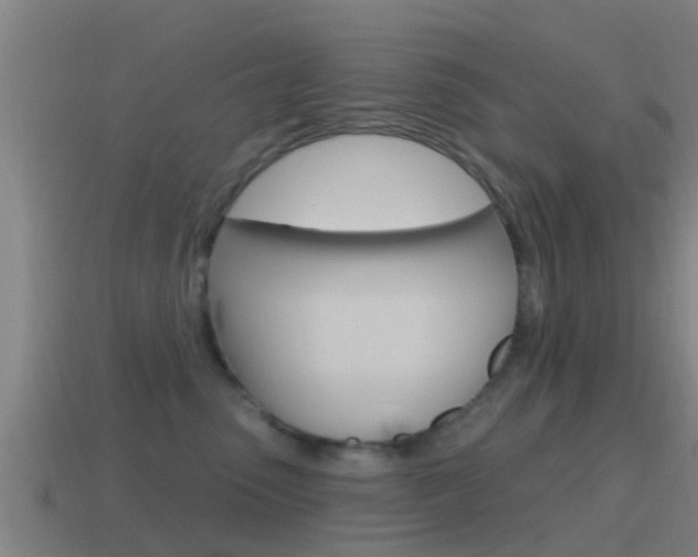 X0000115490475200911061006