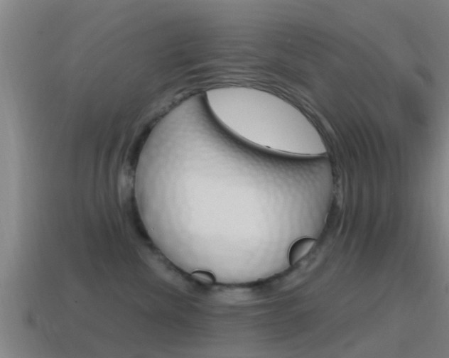 X0000115490476200911061006