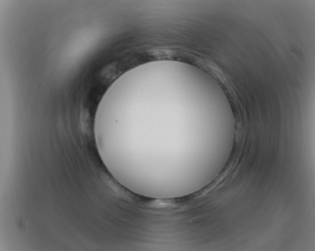 X0000115490477200911061006