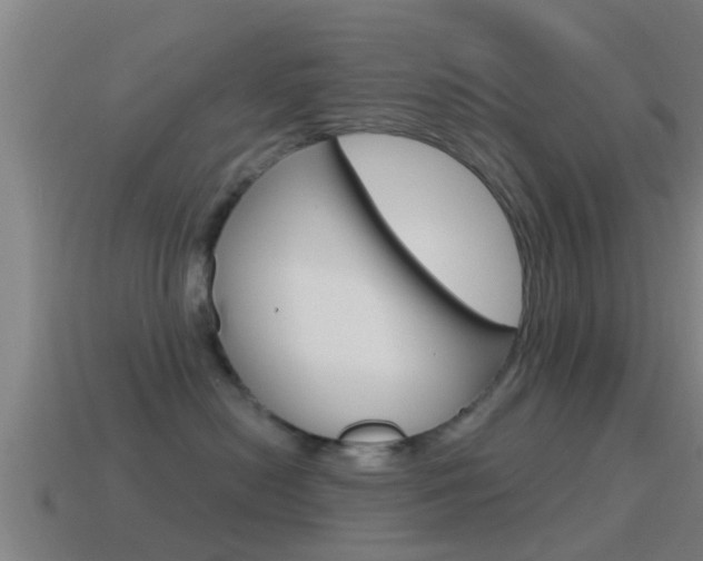 X0000115490478200911061006