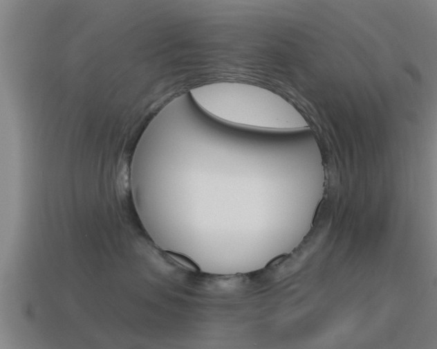 X0000115490479200911061006
