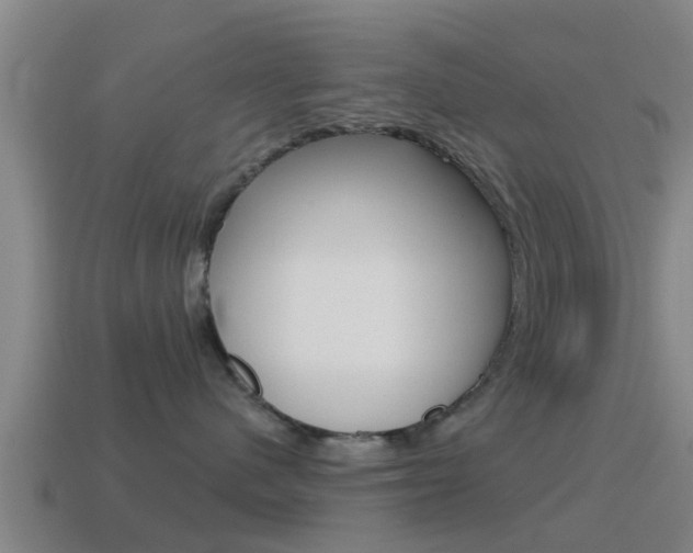 X0000115490480200911061006