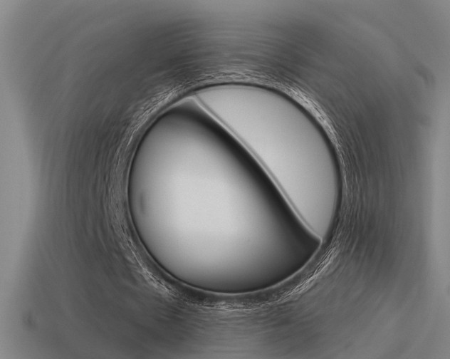 X0000115490481200911061005