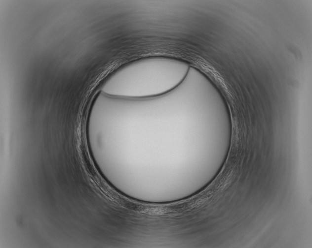 X0000115490482200911061005