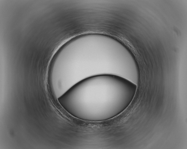 X0000115490484200911061005