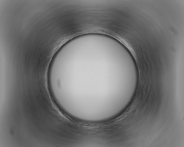 X0000115490485200911061005